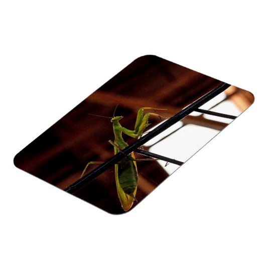 Magnet Flexible Prier Mantis (Côté Gauche)