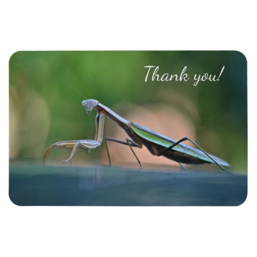 Magnet Flexible Prier Mantis Merci (Horizontal)