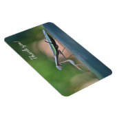Magnet Flexible Prier Mantis Merci (Côté Droit)