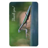 Magnet Flexible Prier Mantis Merci (Vertical)