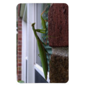 Magnet Flexible Priez Mantis sur mur de briques (Vertical)