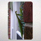 Magnet Flexible Priez Mantis sur mur de briques