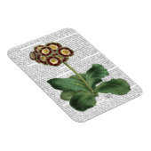 Magnet Flexible Primula Aurium Rouge (Côté Droit)