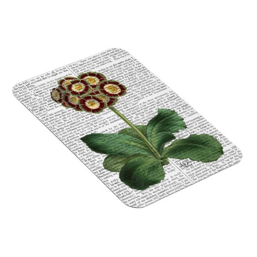 Magnet Flexible Primula Aurium Rouge (Côté Droit)