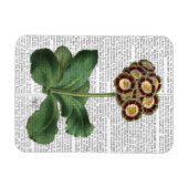 Magnet Flexible Primula Aurium Rouge (Horizontal)