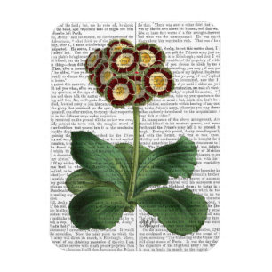 Magnet Flexible Primula Aurium Rouge