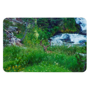 Magnet Flexible Prince de la Forêt