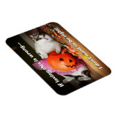 Magnet Flexible Princesse Chat avec seau à bonbons (Côté Droit)