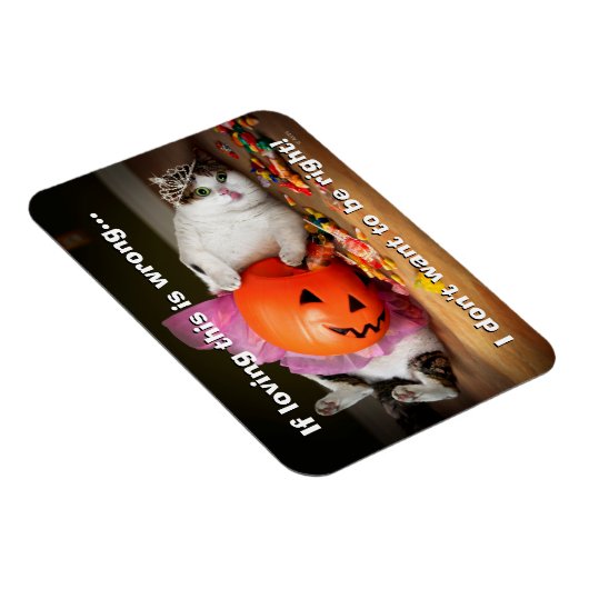 Magnet Flexible Princesse Chat avec seau à bonbons (Côté Droit)