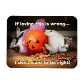 Magnet Flexible Princesse Chat avec seau à bonbons (Horizontal)