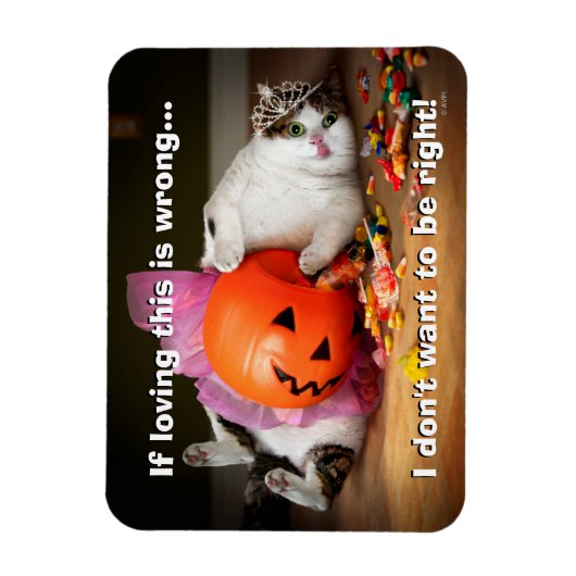 Magnet Flexible Princesse Chat avec seau à bonbons (Vertical)