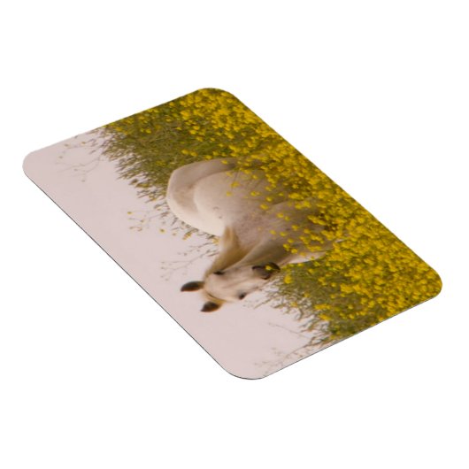 Magnet Flexible Printemps (Côté Droit)