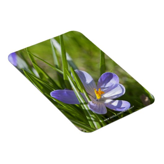 Magnet Flexible Printemps (Côté Droit)