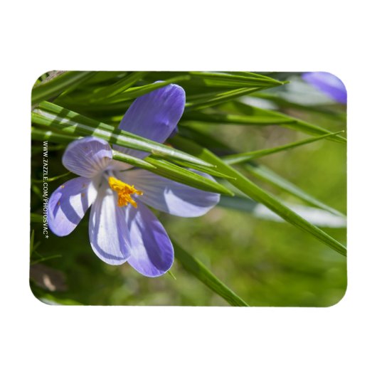 Magnet Flexible Printemps (Horizontal)