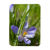 Magnet Flexible Printemps (Vertical)