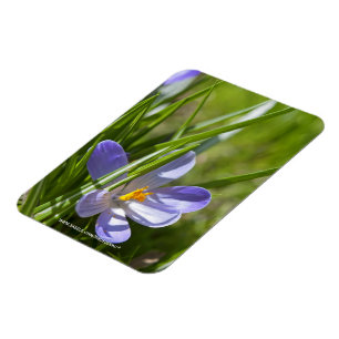 Magnet Flexible Printemps