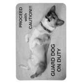 Magnet Flexible Procéder avec l'aimant de prudence (Vertical)