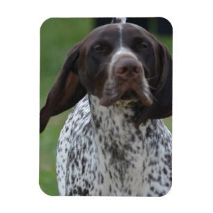 Magnet Flexible Produit de personnaliser