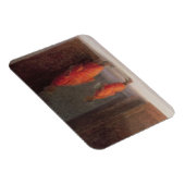 Magnet Flexible Professeur 2005 (Côté Droit)