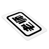 Magnet Flexible Professeur chinois 老 师 Laoshi (Côté Droit)