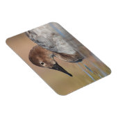 Magnet Flexible Profil de canard à canard à canard (Côté Droit)