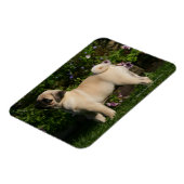 Magnet Flexible Profil de Carlin (Côté Gauche)