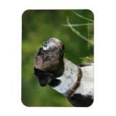 Magnet Flexible Profil de chien de boxe (Vertical)