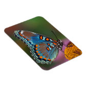 Magnet Flexible Profil de papillon sur une fleur (Côté Droit)