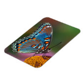 Magnet Flexible Profil de papillon sur une fleur (Côté Gauche)