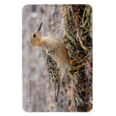 Magnet Flexible Profil d'un bécasseau à poils cassés à la plage (Vertical)