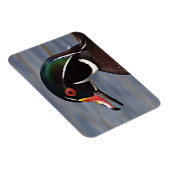 Magnet Flexible Profil d'un canard à bois (Côté Droit)