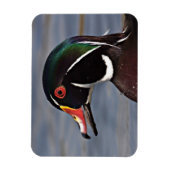 Magnet Flexible Profil d'un canard à bois (Vertical)