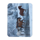 Magnet Flexible Promenade à cheval en hiver (Vertical)