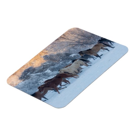 Magnet Flexible Promenade à cheval en hiver sur Hideout Ranch (Côté Gauche)