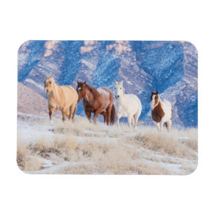 Magnet Flexible Promenade de Cowboy Horse sur Hideout Ranch