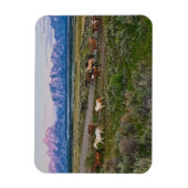 Magnet Flexible Promenade des chevaux (Vertical)