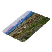 Magnet Flexible Promenade des chevaux (Côté Gauche)