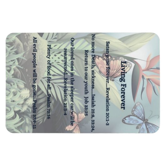 Magnet Flexible Promesse future (Horizontal)