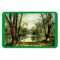 Prospect Park, Brooklyn NY, 1908 Carte postale Vin