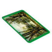 Magnet Flexible Prospect Park, Brooklyn NY, 1908 Carte postale Vin (Côté Droit)