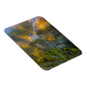 Magnet Flexible Proxy Falls Three Sisters Wilderness Oregon (Côté Droit)