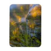 Magnet Flexible Proxy Falls Three Sisters Wilderness Oregon (Vertical)