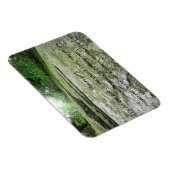 Magnet Flexible Psaume 61 moussy boulder aimant (Côté Droit)