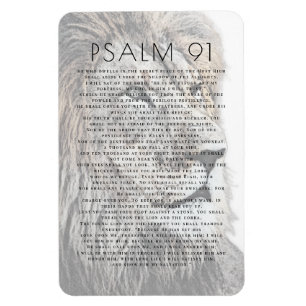 Magnet Flexible Psaume 91 Tête de lion Bible Verse