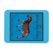 Magnet Flexible Pub anglais Polka Dot Zebra (Horizontal)