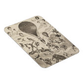 Magnet Flexible Publicité Française Pour Le Fabricant De Ballons (Côté Droit)