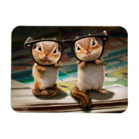 Puces dans les lunettes de lecture