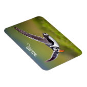 Magnet Flexible Puffin d'Islande (Côté Droit)