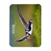Magnet Flexible Puffin d'Islande (Vertical)