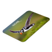 Magnet Flexible Puffin d'Islande (Côté Gauche)